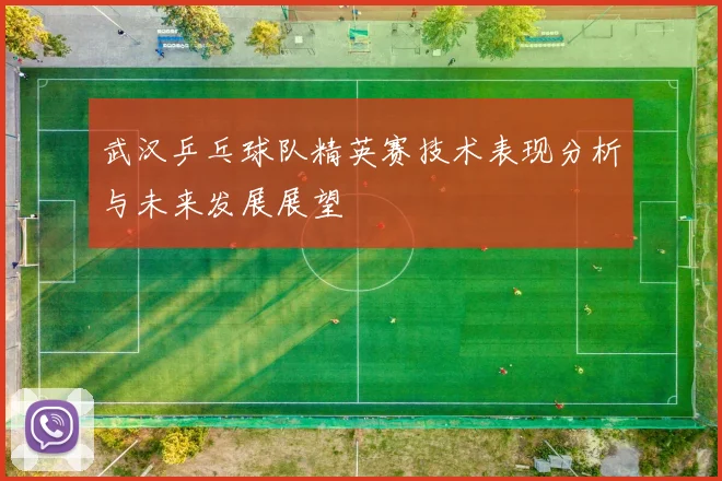 武汉乒乓球队精英赛技术表现分析与未来发展展望